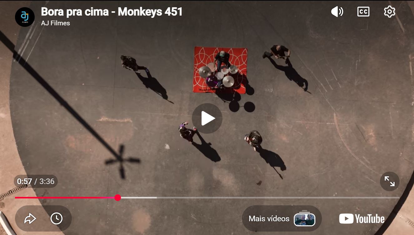 Monkeys 451